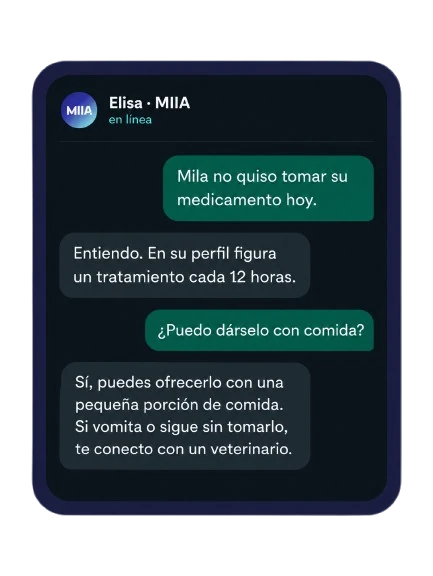 Conversación por WhatsApp: Elisa recuerda que Mila tiene un tratamiento cada 12 horas, explica cómo darle el medicamento y ofrece conectar con un veterinario.