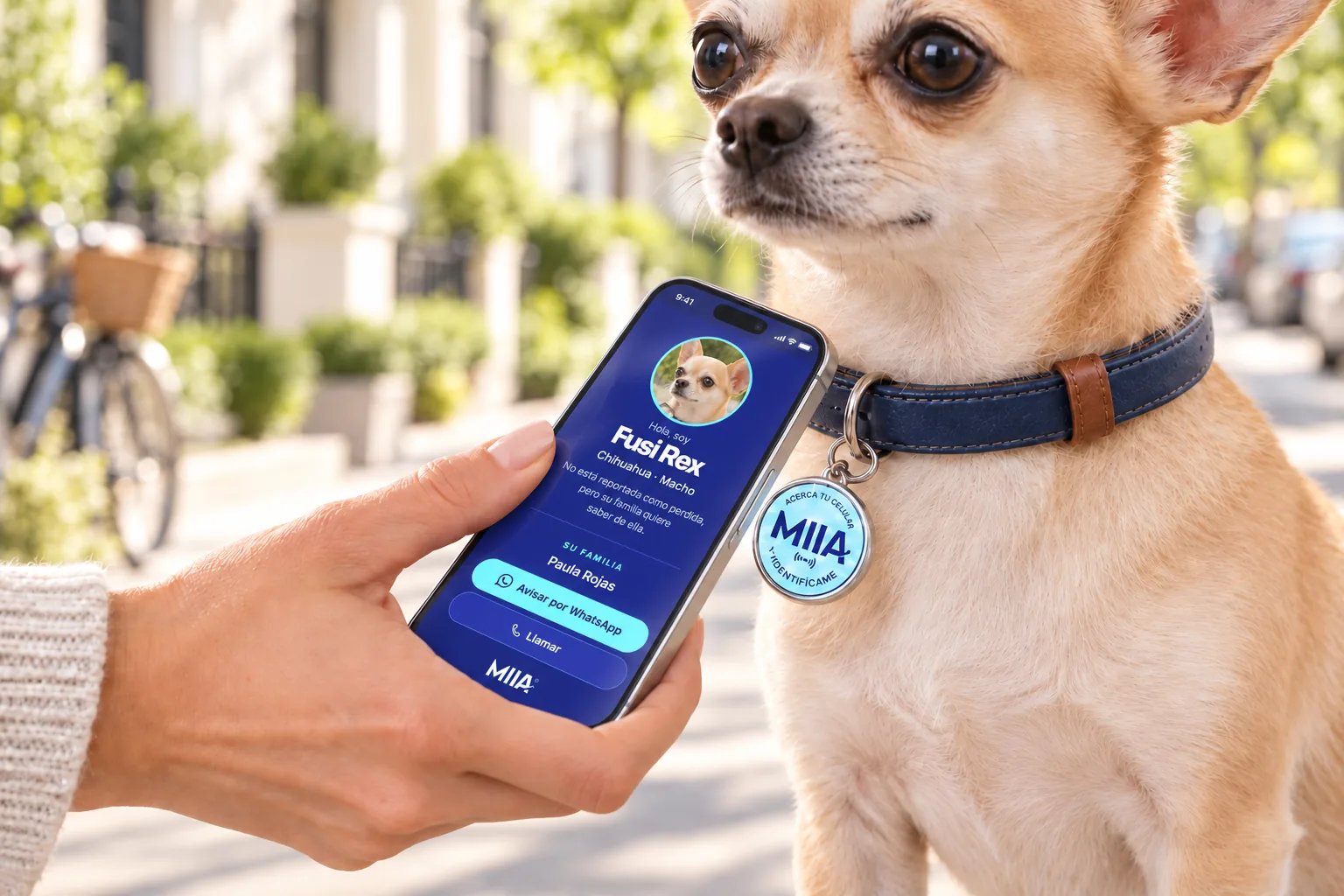 Una persona acerca el celular a la placa ChipGuard en el collar de un perro y ve la ficha de la mascota en pantalla