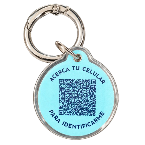 Reverso de la placa ChipGuard con su código QR impreso